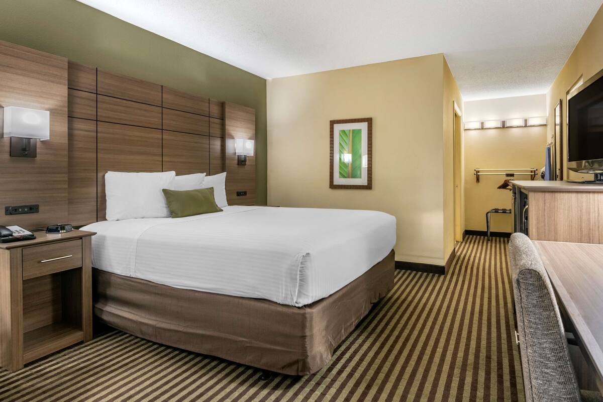 Habitación de hotel con una cama grande, una mesita de noche con lámpara, televisión y un escritorio pequeño.