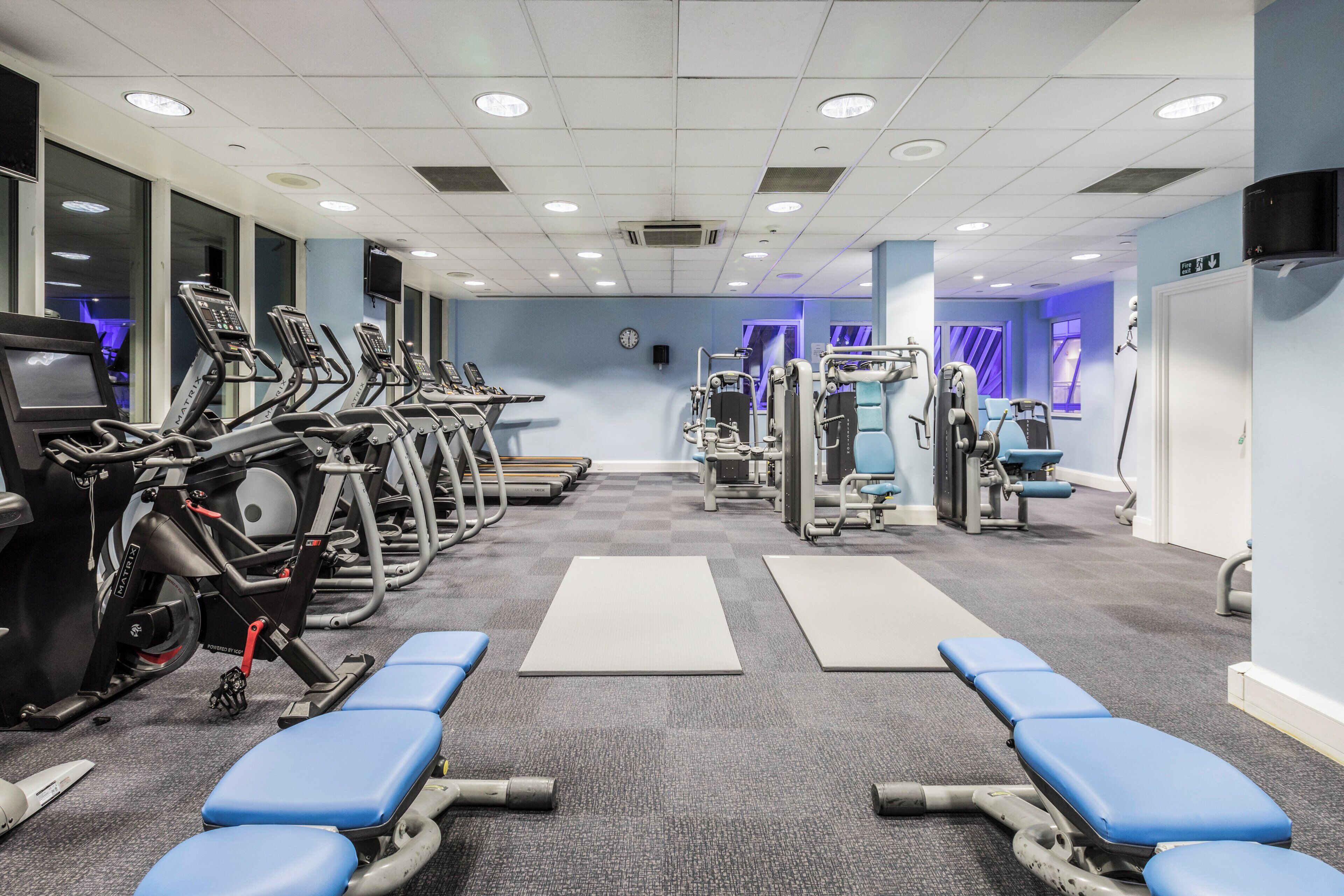 Une salle de sport équipée de tapis de course, d’appareils de musculation et de bancs bleus.