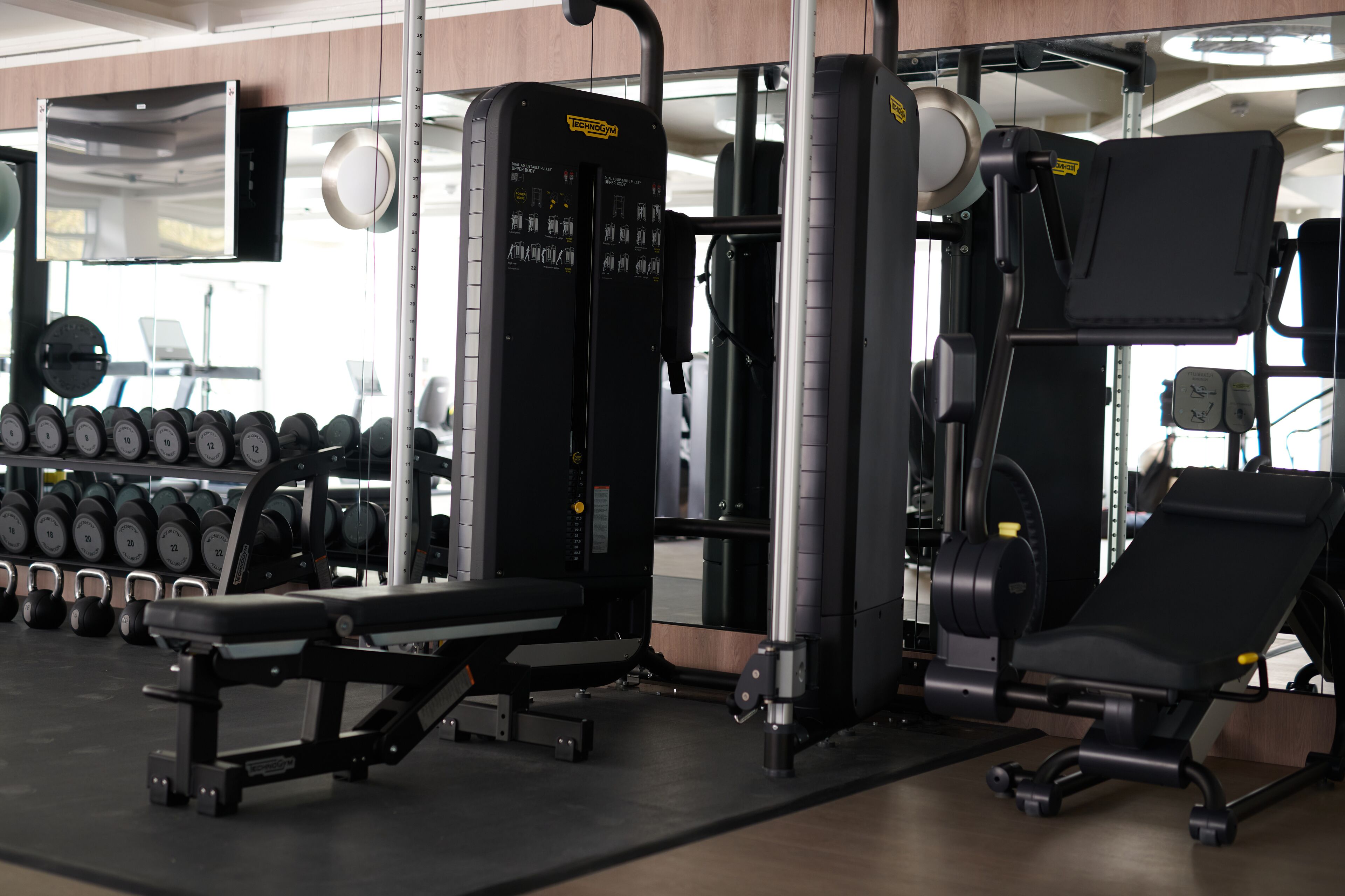 A gym with weight machines, dumbbells, and a TV screen.