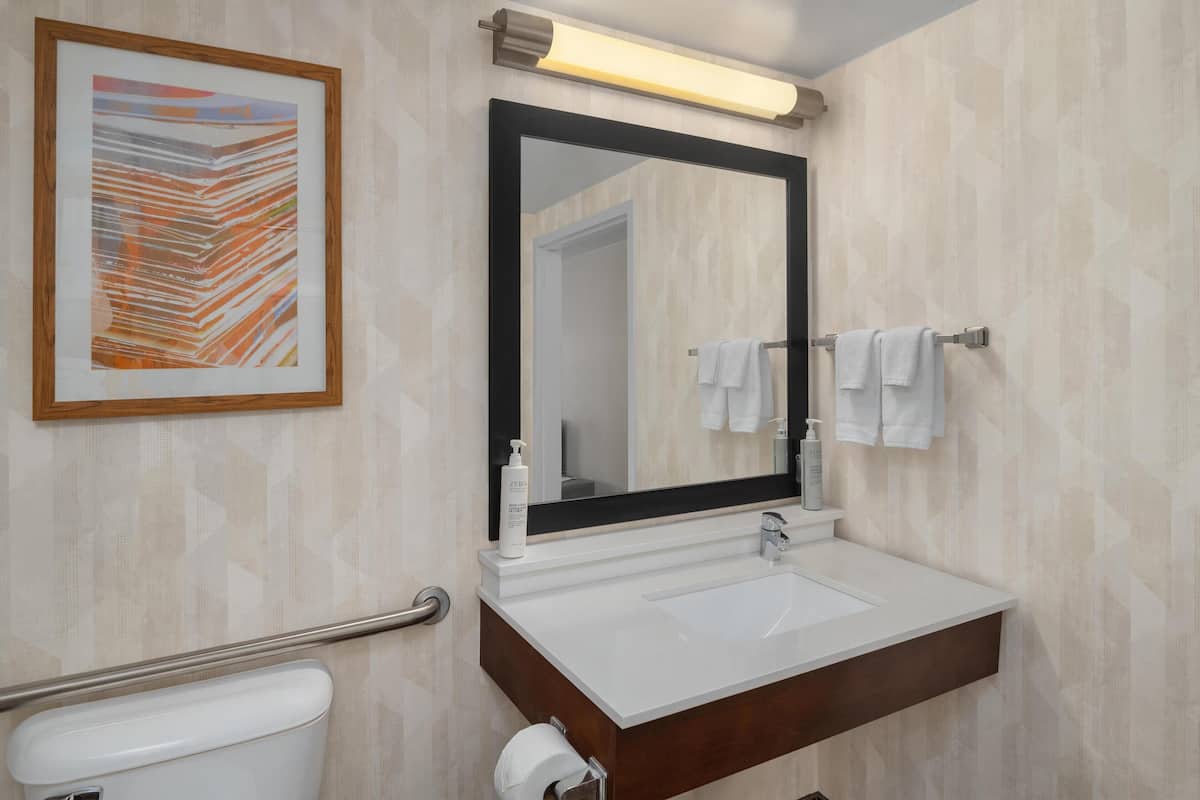 combined shower/bathtub, hydromassage showerhead, free toiletries