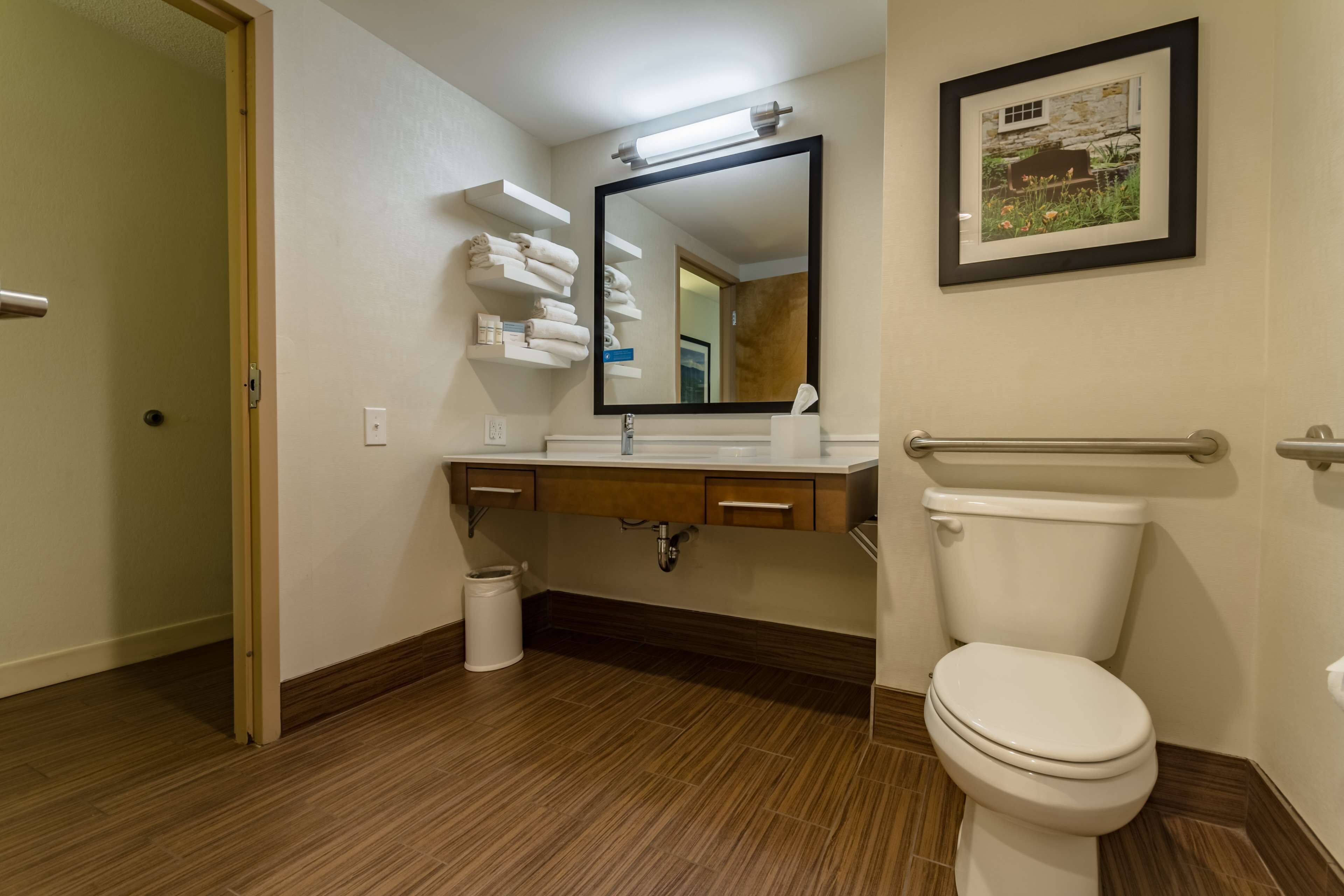 A bathroom with a white toilet, wooden vanity, a mirror, and a framed picture on the wall.