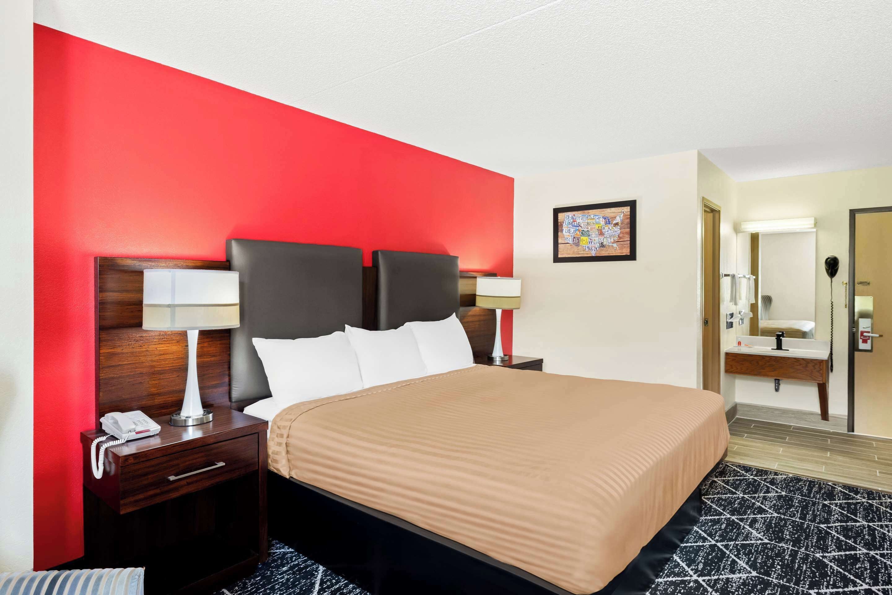 A hotel room with a bed, nightstand, lamp, and a red accent wall.