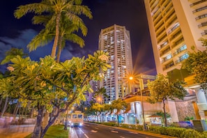 A nighttime city street with tall buildings, palm trees, and a tram. - Hyatt Regency Waikiki Beach Resort & Spa (Honolulu)