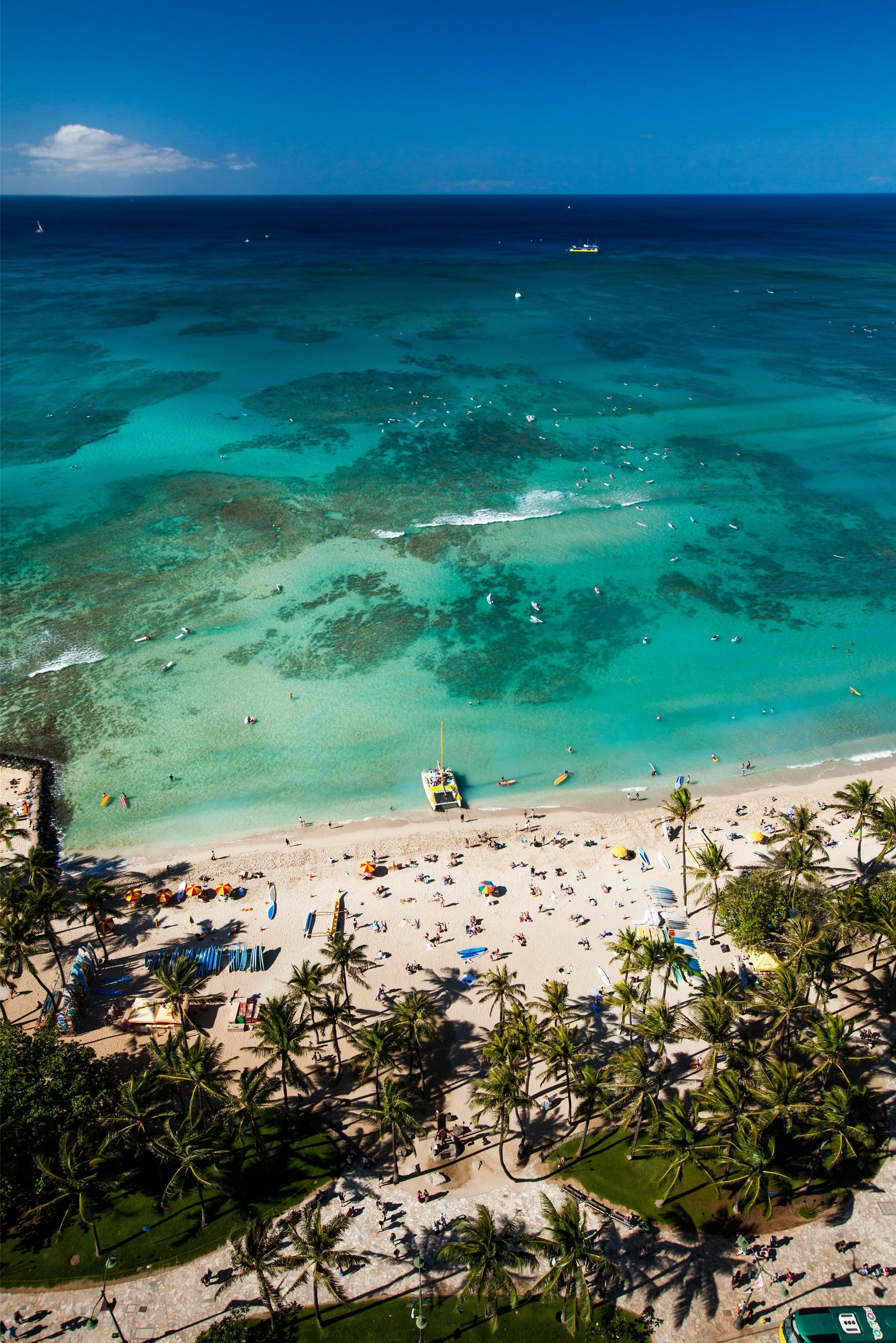 A beach with clear turquoise waters, palm trees, and a sandy shore.