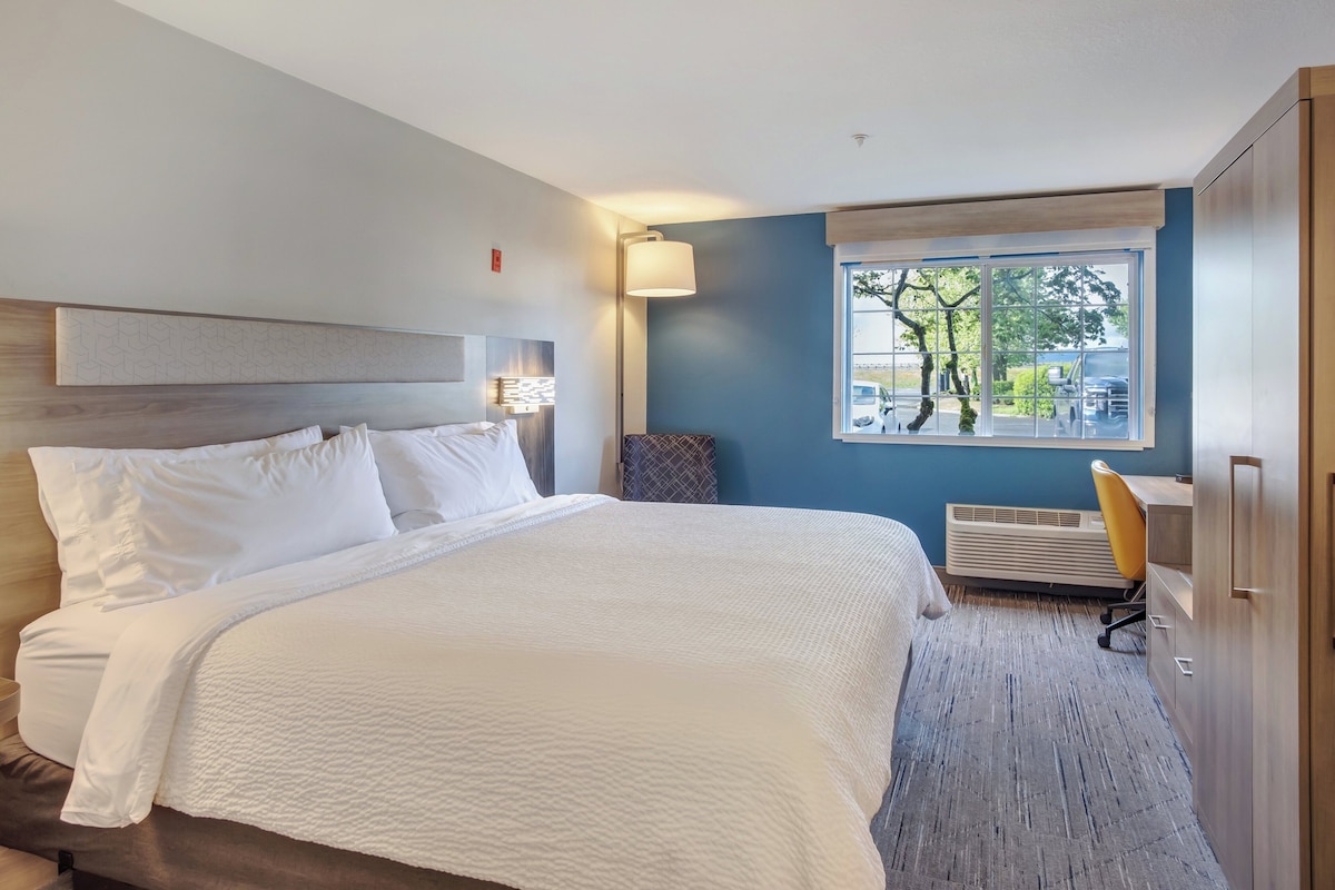 Quarto de hotel com uma cama grande, uma escrivaninha, uma cadeira, uma janela com vista para árvores e ar condicionado fixado na parede.