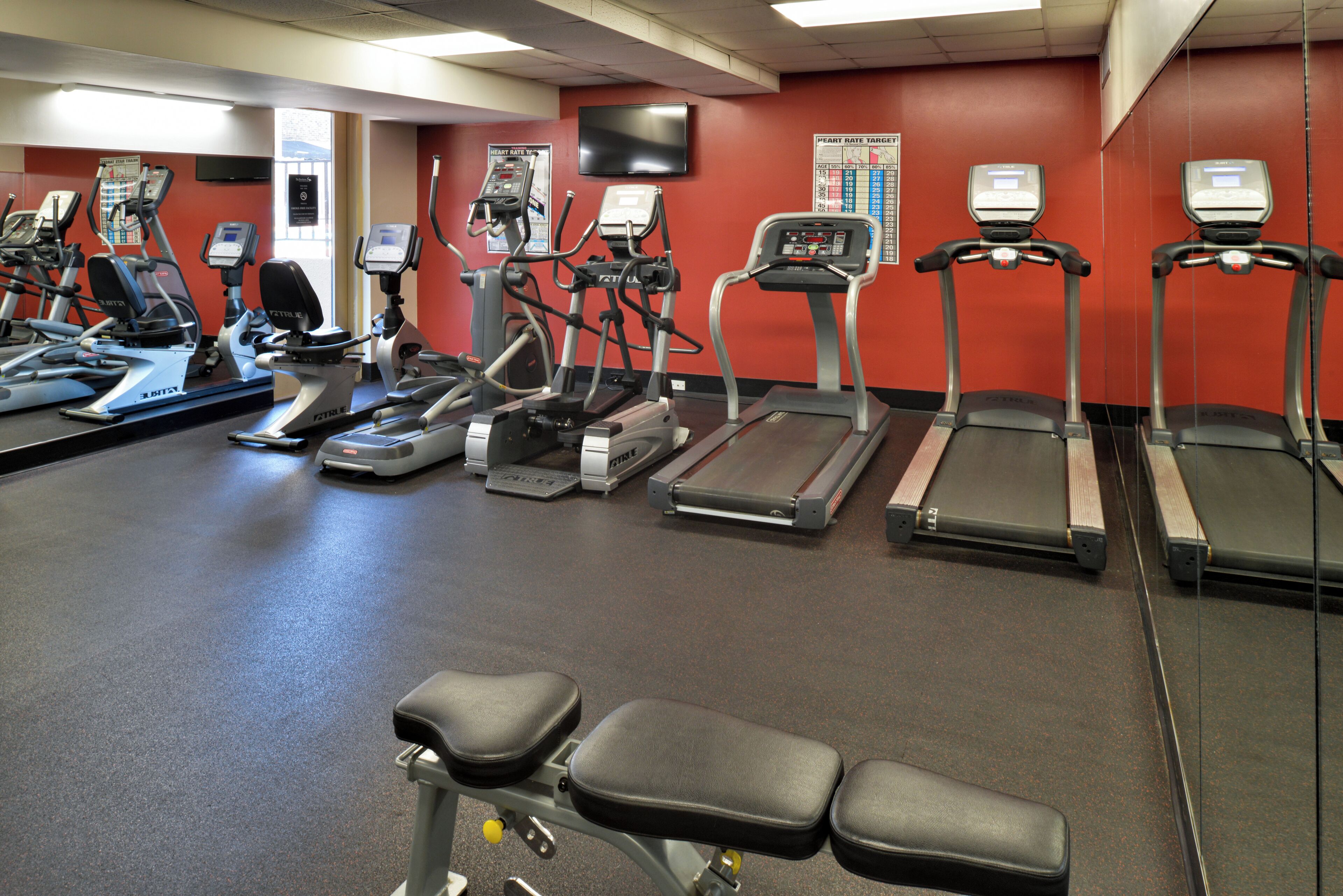 A gym with various exercise machines, including treadmills and elliptical trainers, arranged in rows.