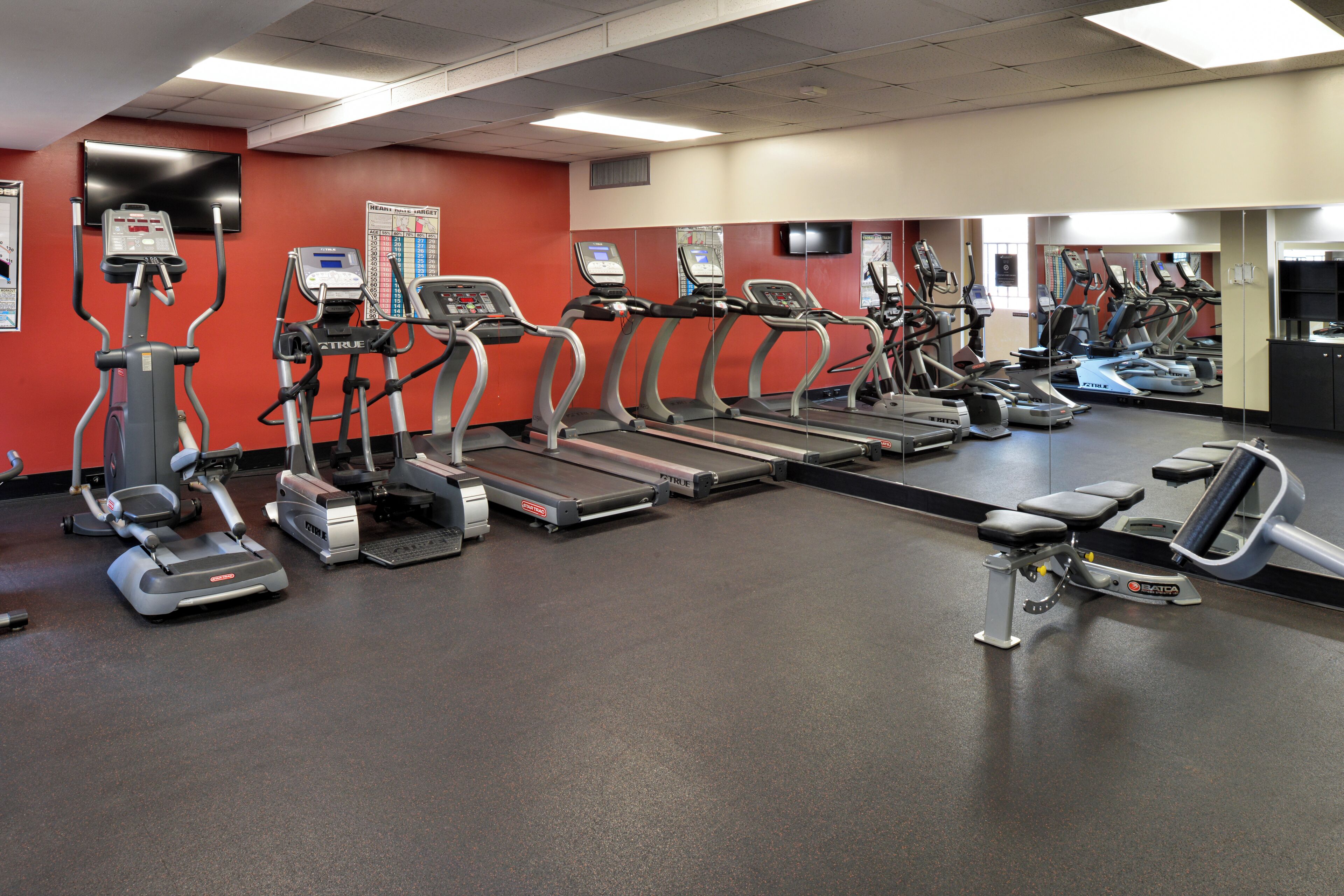 A gym with multiple treadmills and elliptical machines, a mirrored wall, and a red accent wall.