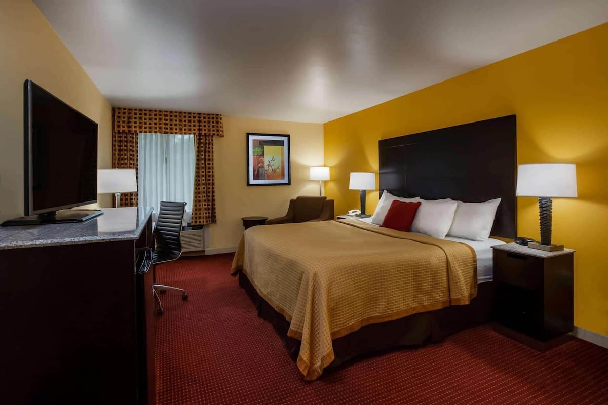 Une chambre d’hôtel comprenant un lit, deux tables de chevet avec des lampes, un bureau avec une télévision, une chaise et une fenêtre avec des rideaux.