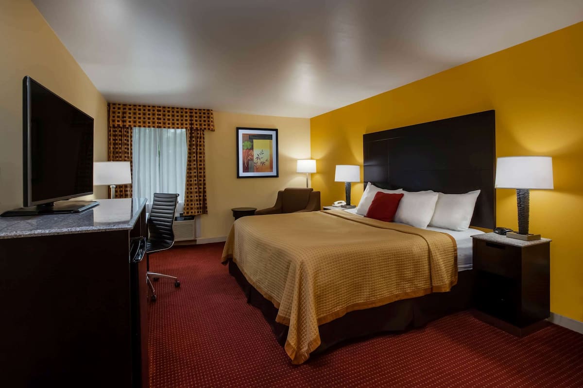 Une chambre d’hôtel avec un lit, deux tables de chevet avec des lampes, un bureau avec un téléviseur à écran plat, une chaise, une moquette rouge et une fenêtre avec des rideaux.