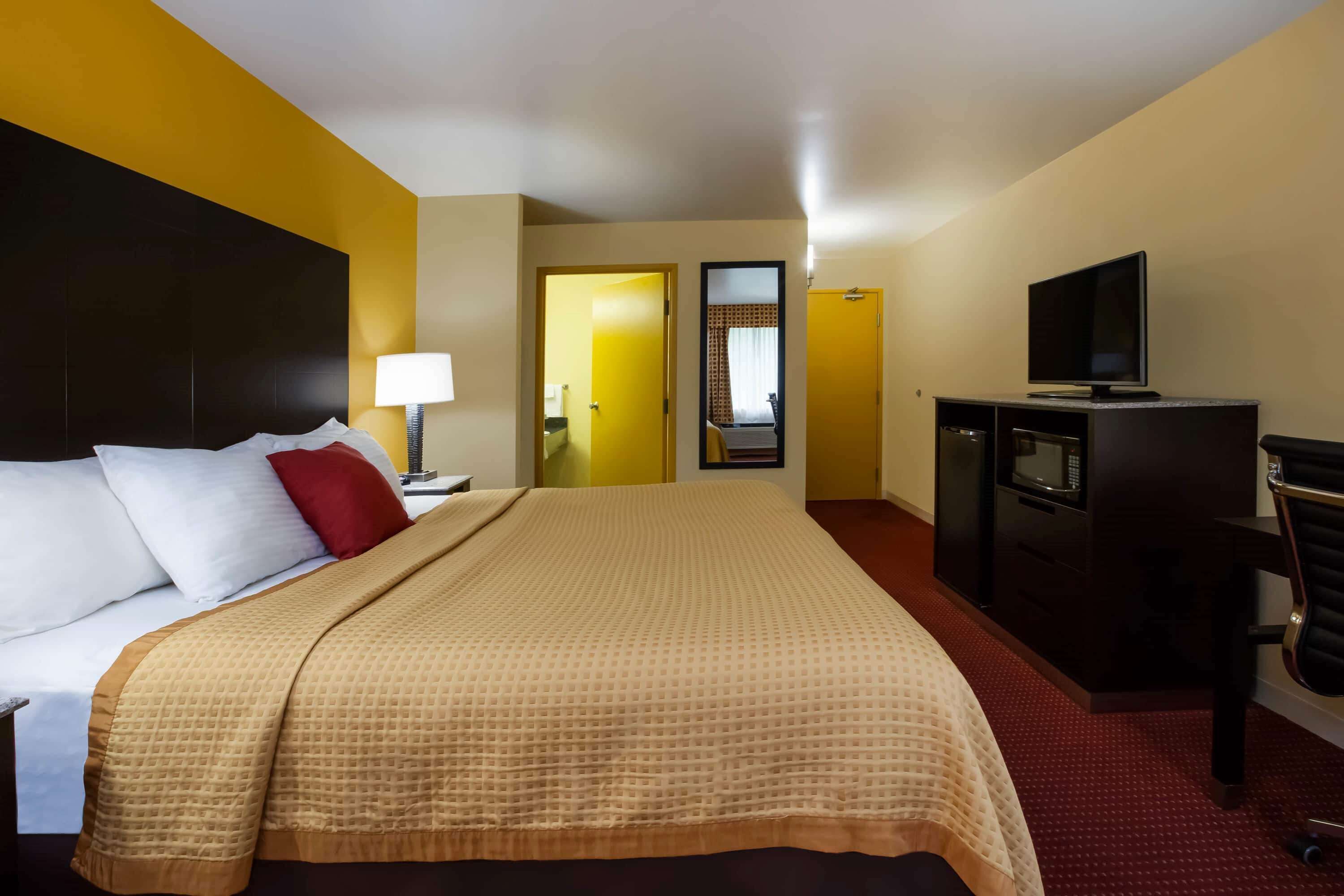 A hotel room with a bed, a TV, a desk, and a microwave.