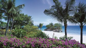 A beach with palm trees, purple flowers, and a clear blue sky. - Shangri-La Mactan, Cebu (Lapu-Lapu)
