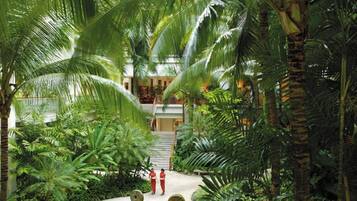Un exuberante jardín interior con un sendero curvo, palmeras y un edificio al fondo.