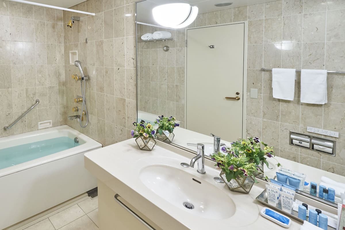 combined shower/bathtub, free toiletries, hair dryer, bathrobes