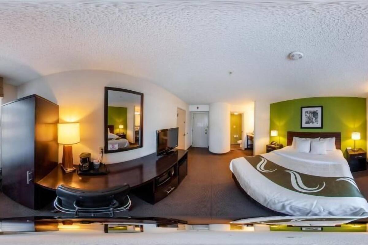A hotel room with a bed, a desk, a mirror, a TV, and a green accent wall.