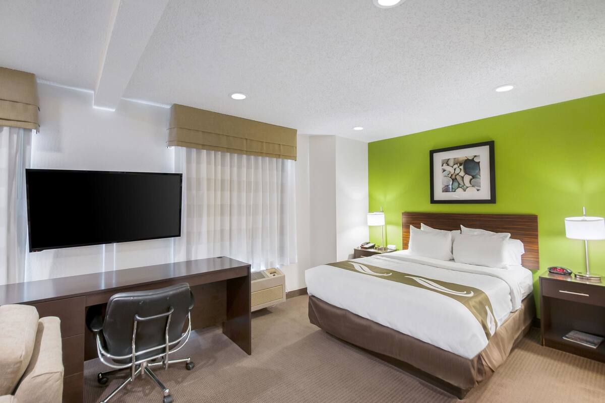 A hotel room with a bed, desk, chair, TV, and a green accent wall.