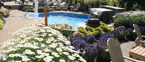 Indoor pool, outdoor pool, free cabanas, pool umbrellas