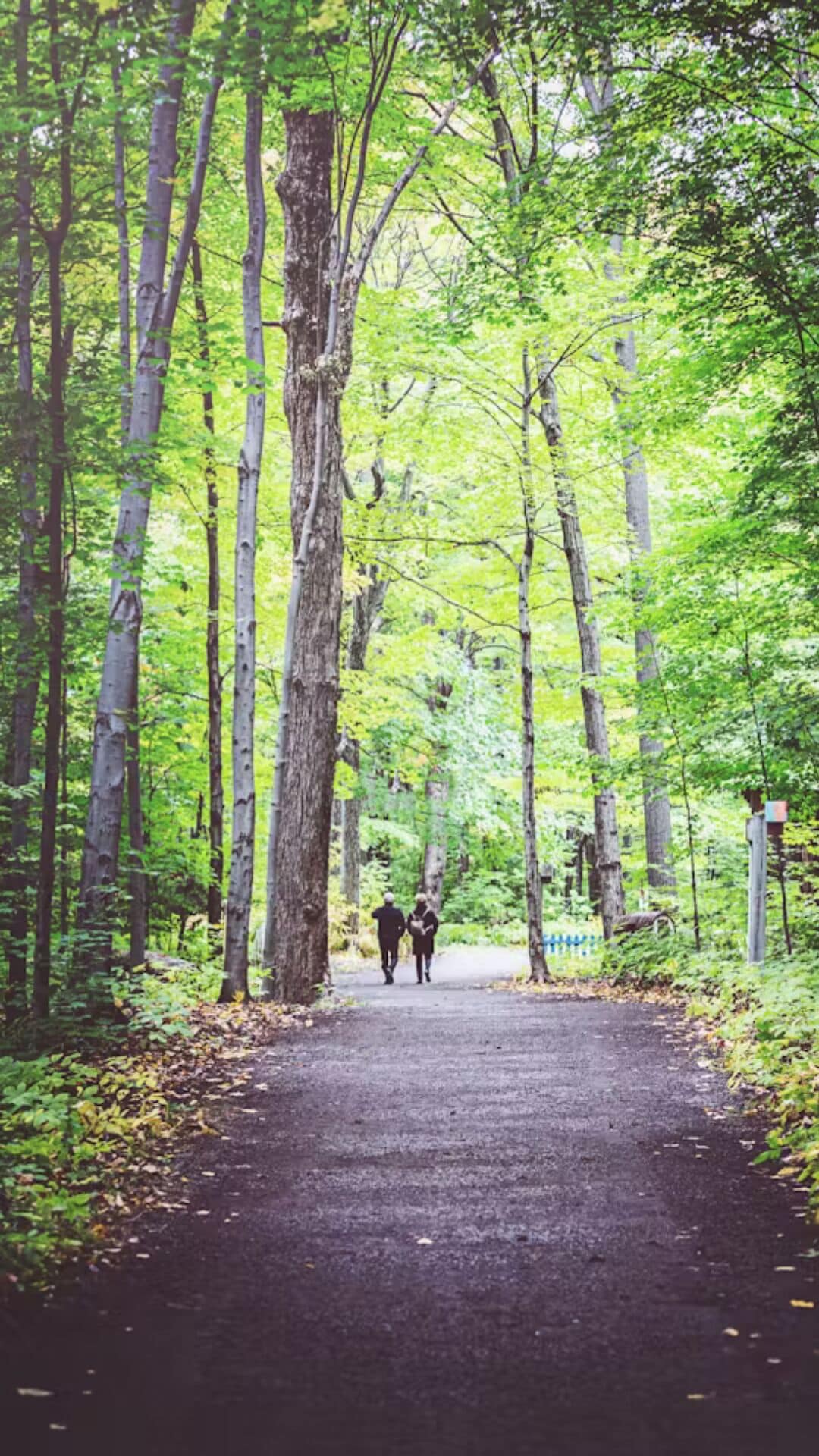 Foto - Auberge Godefroy