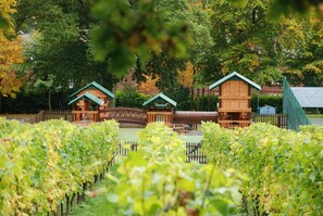 Guest accommodations amidst lush vineyards and rolling hills.