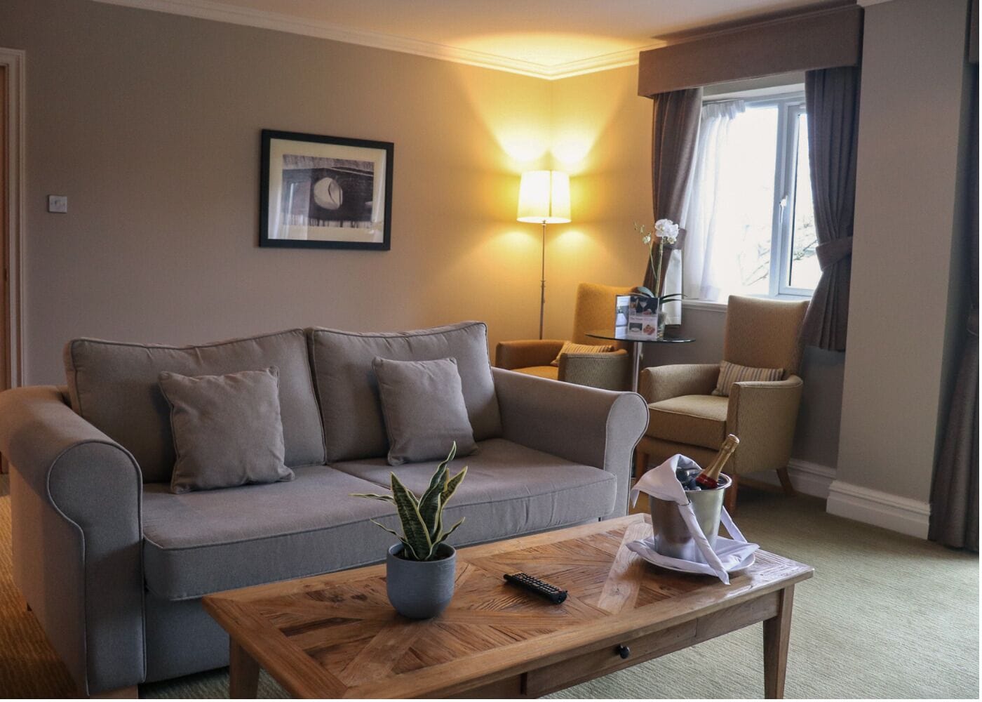 A living room with a sofa, a coffee table with a plant, a remote control, and a bottle of champagne.