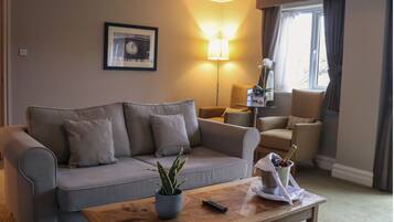 A living room with a sofa, a coffee table with a plant, a remote control, and a bottle of champagne.
