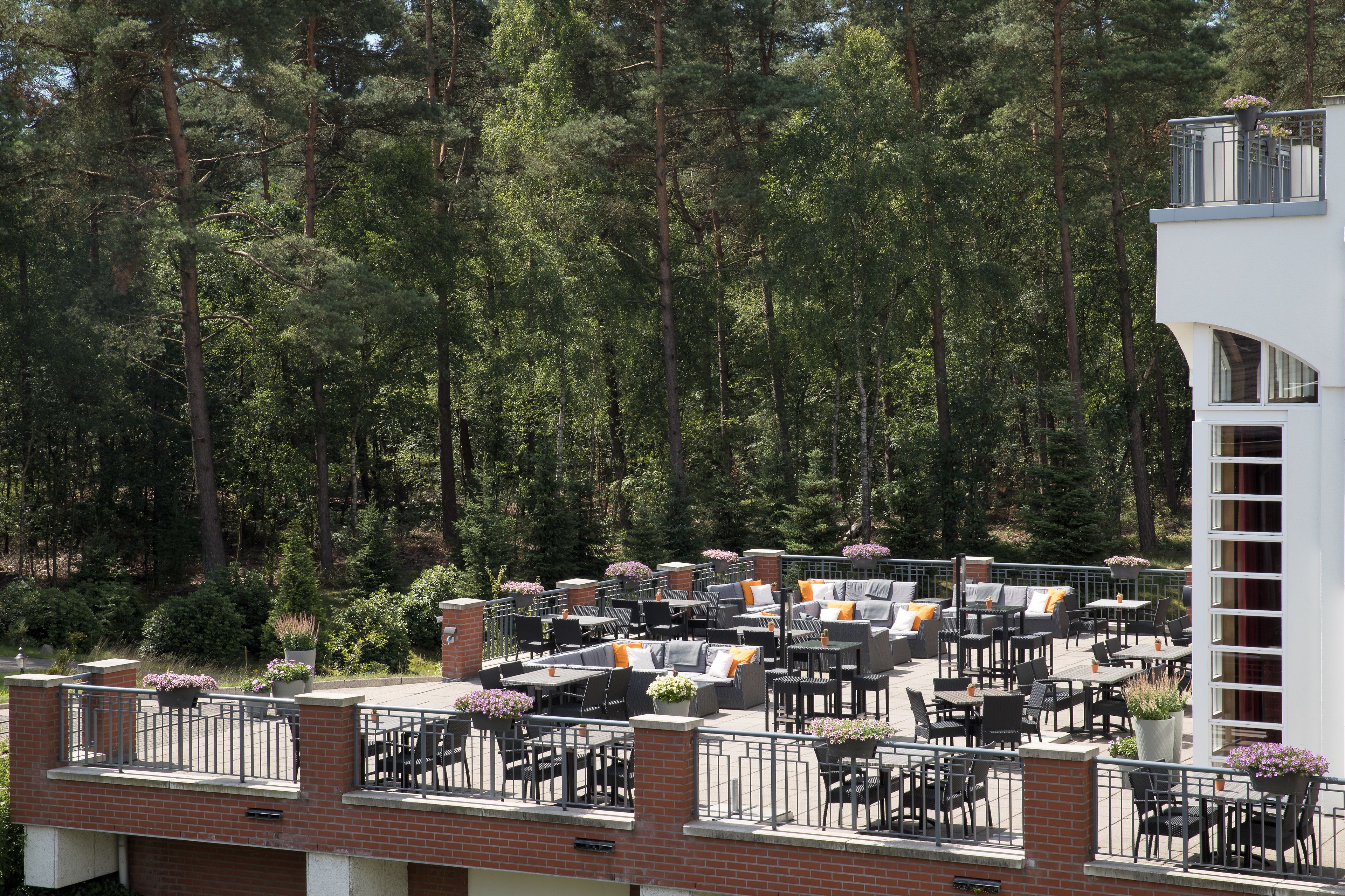 An outdoor patio with multiple seating areas, surrounded by tall trees.