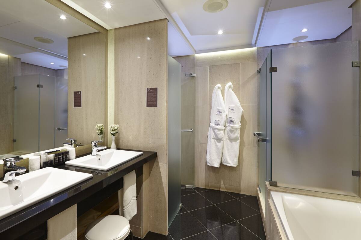 separate bathtub and shower, free toiletries, hair dryer, bathrobes