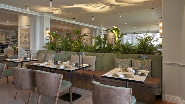 Un comedor moderno con asientos tapizados en verde, sillas de madera y mesas dispuestas para comer.