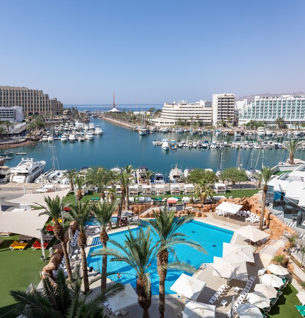 Outdoor pool, sun loungers