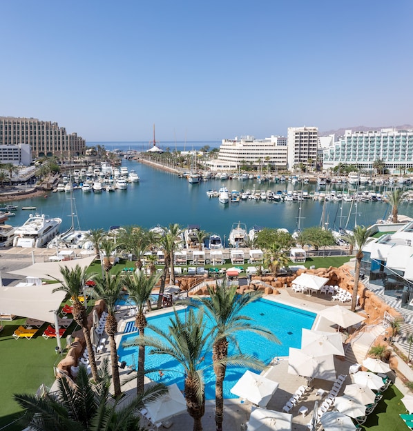 Outdoor pool, sun loungers