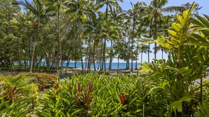 Una playa tropical con palmeras y una vista despejada del océano.