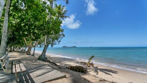 Una playa con un banco de madera y palmeras.