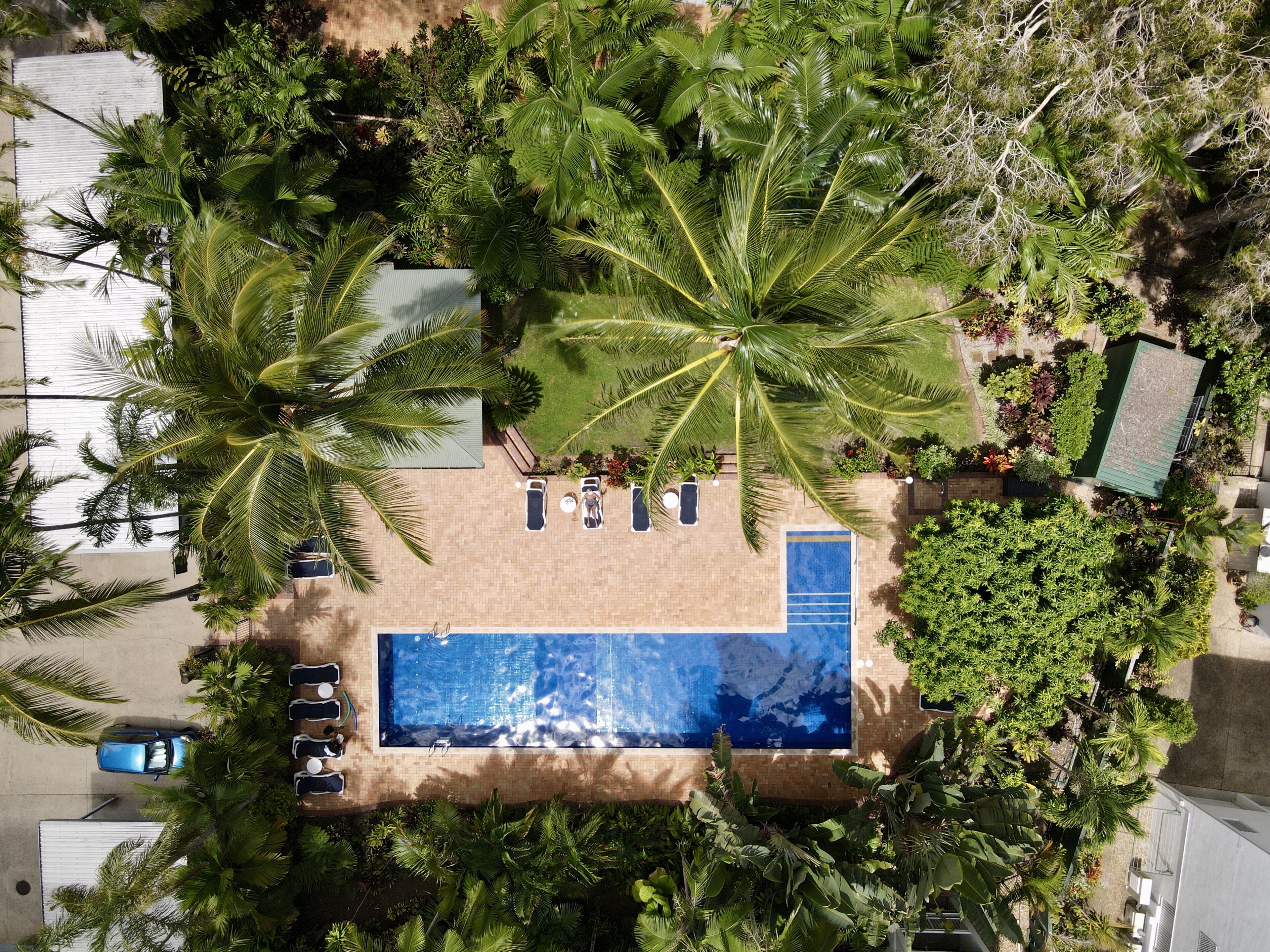 An aerial view of a resort with a swimming pool, palm trees, and lounge chairs.
