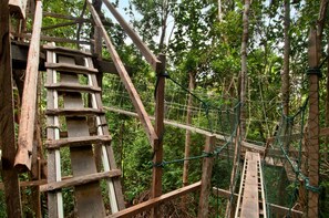 Hiking - Aiman Batang Ai Resort & Retreat (Lubok Antu)