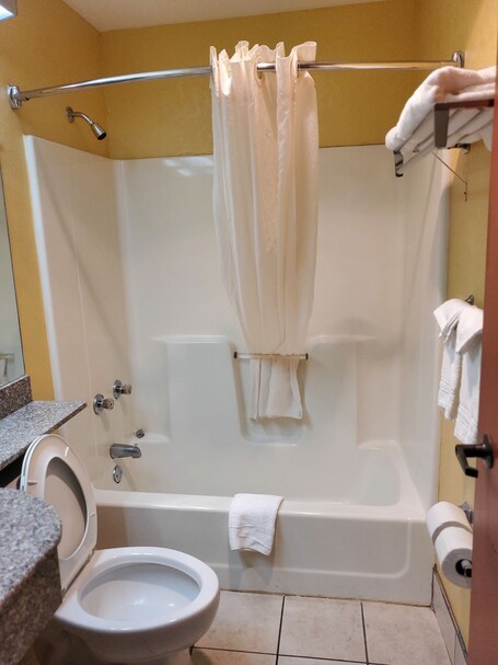 Microtel Inn Suites by Wyndham Gatlinburg - Image 16