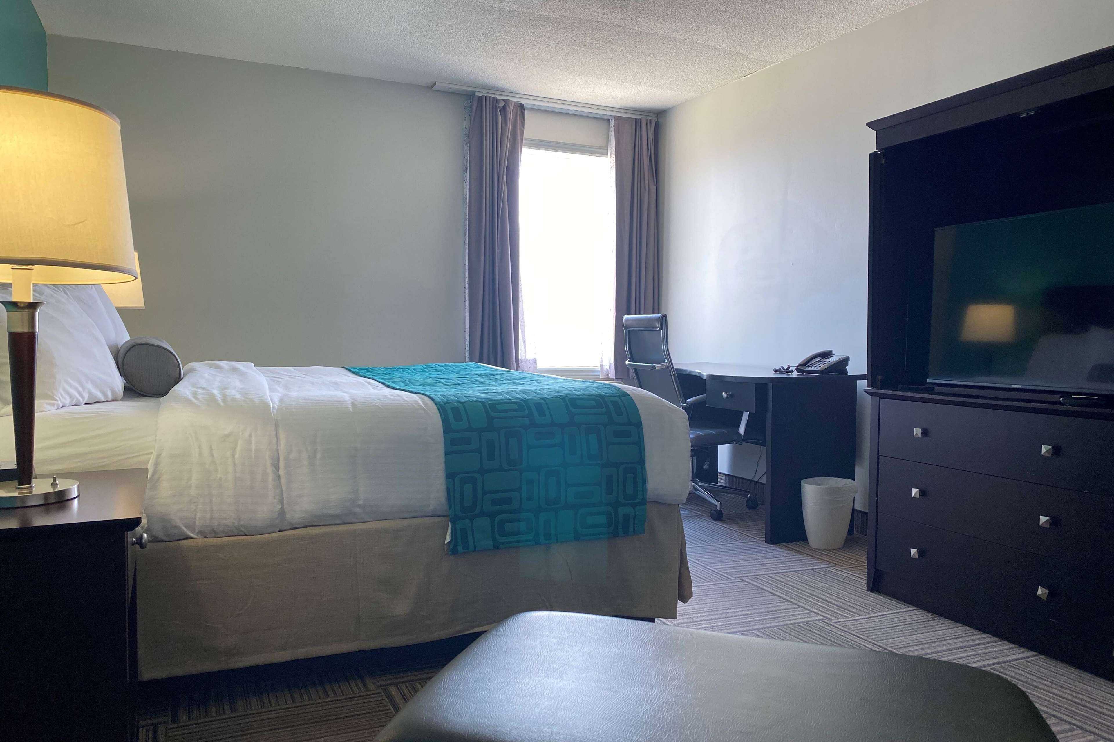 A hotel room with a bed, a desk, a chair, a TV, and a lamp.