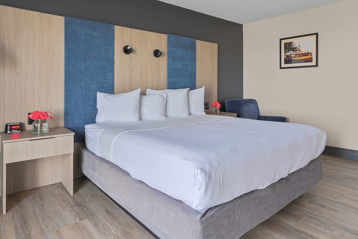 A modern hotel room with a large bed, a wooden and blue accent wall, a desk with a clock, and a framed picture on the wall.