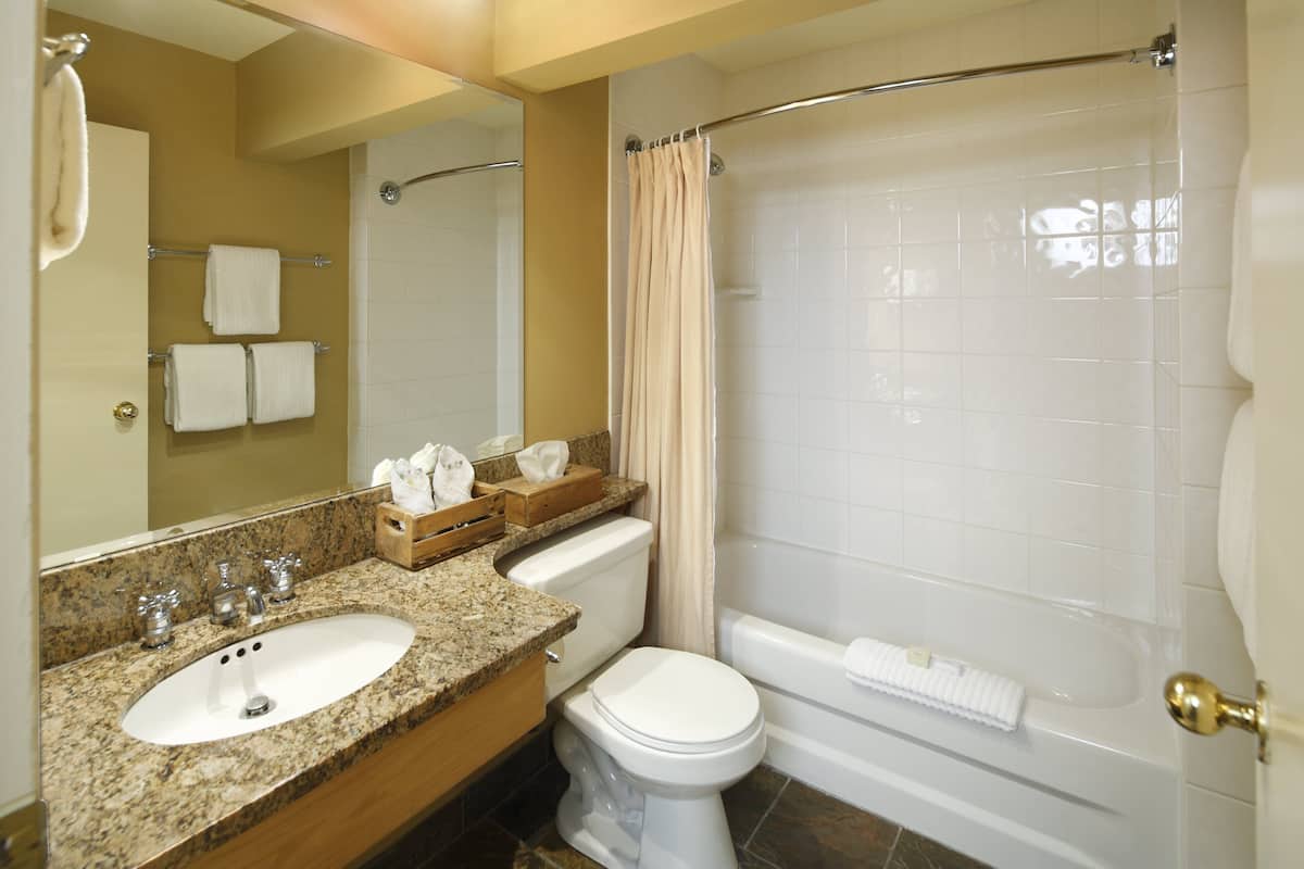 combined shower/bathtub, eco-friendly toiletries, hair dryer, towels