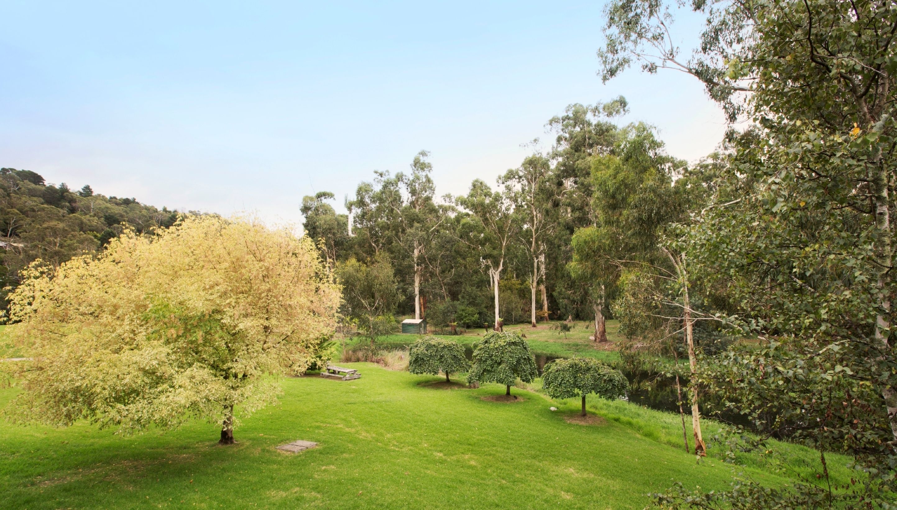 Foto - Nightcap at York on Lilydale