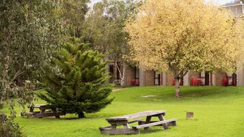 Un’area picnic con panchine, un piccolo albero e un edificio sullo sfondo con sedie rosse.