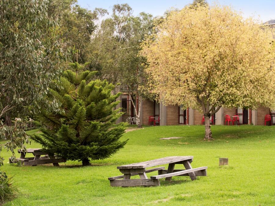 Un espacio de picnic con bancos, un árbol pequeño y un edificio con sillas rojas al fondo.