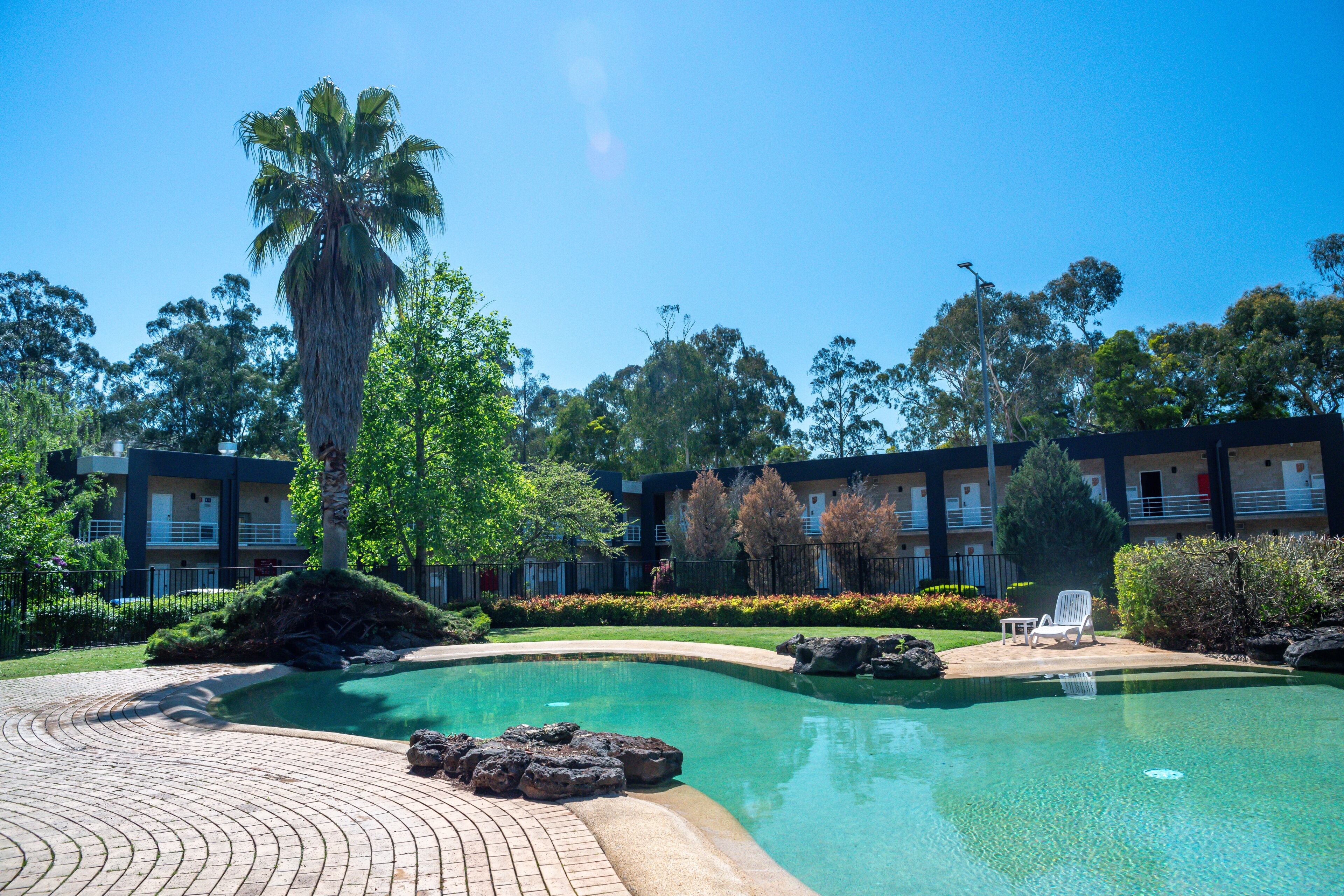 A swimming pool with a palm tree, lounge chairs, and a building in the background.