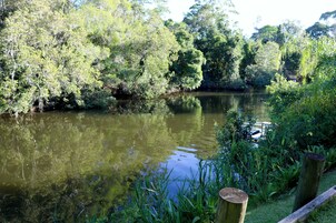 Pesca
