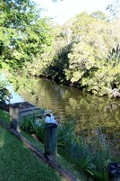 Jardim