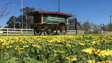 A vintage carriage with a sign for 'Canyon Inn' parked in a field of yellow flowers.