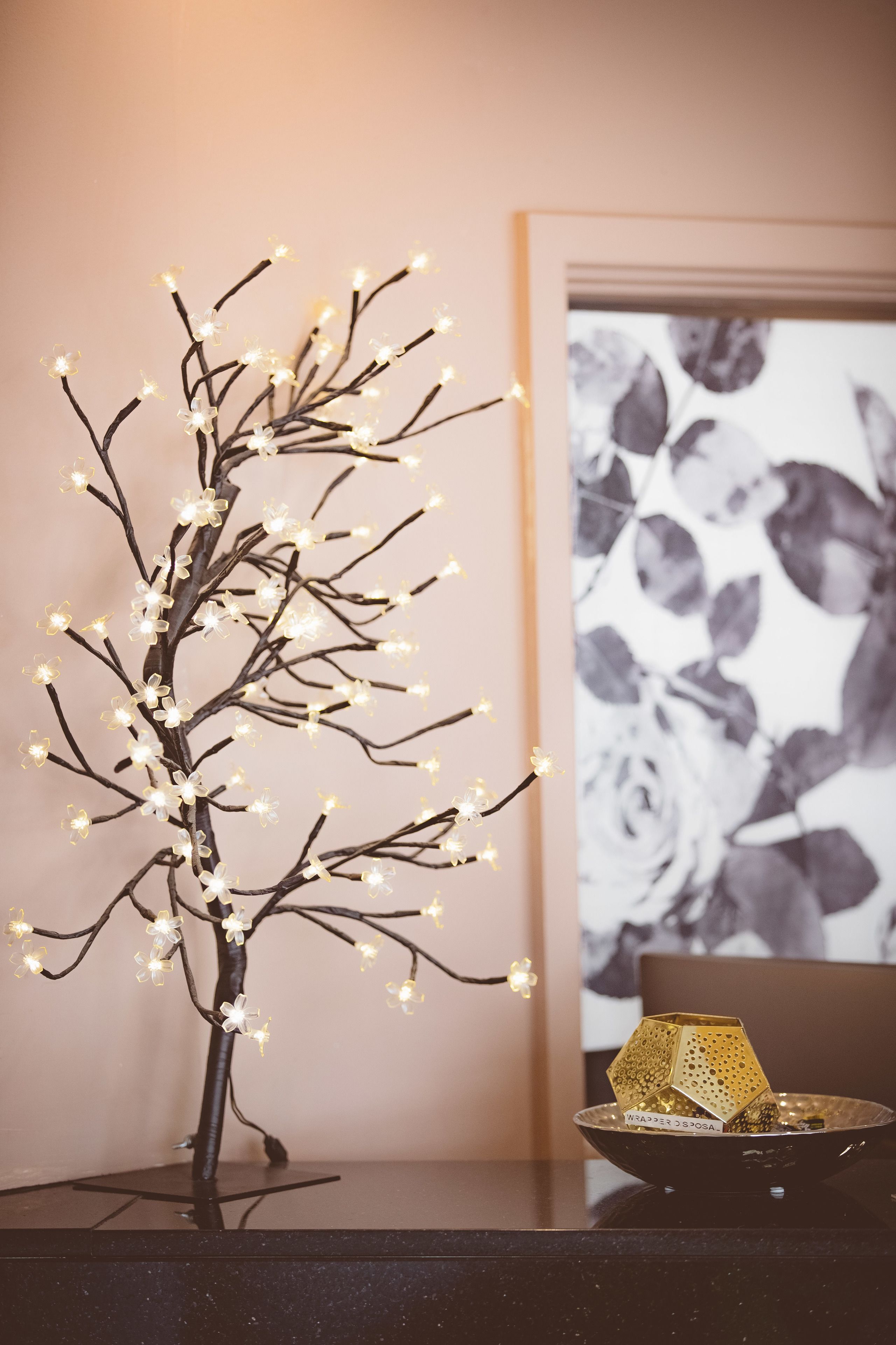 منطقة الاستقبال