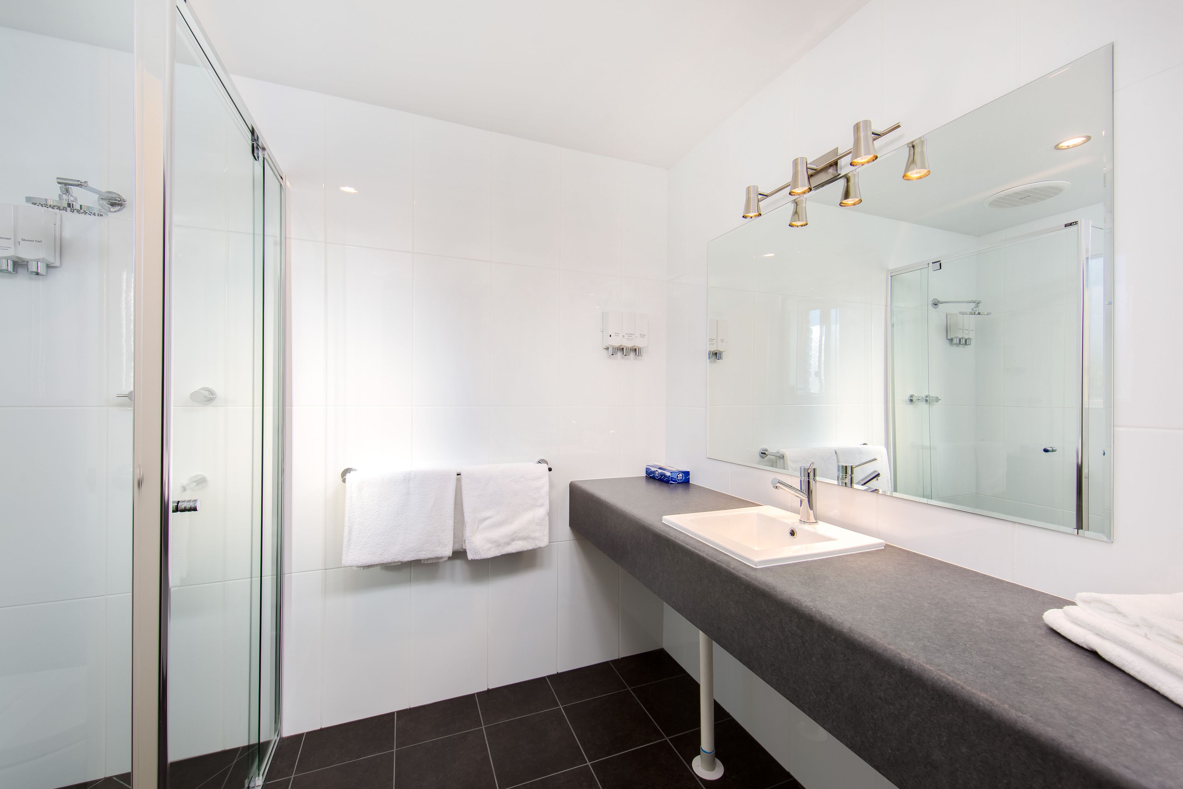 standard suite | bathroom | hair dryer, towels