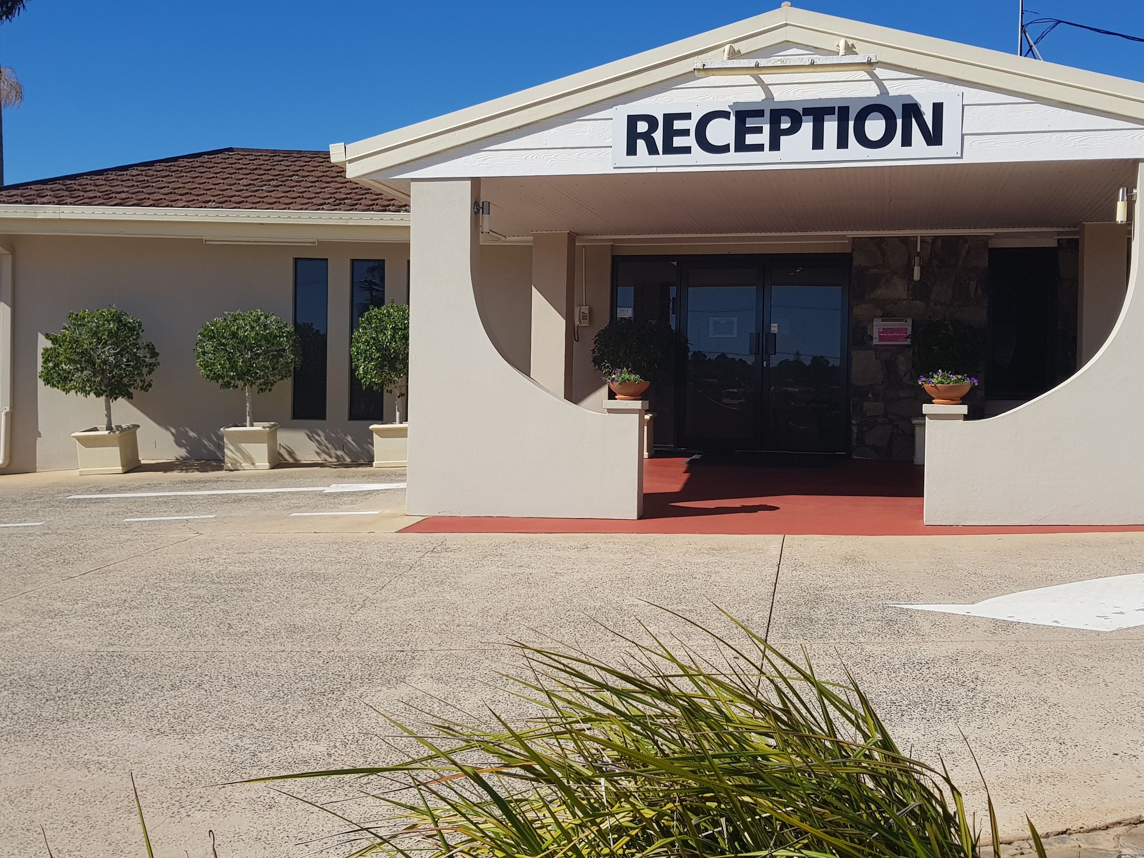 A reception area with a sign, potted plants, and a red carpet.