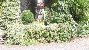 A statue in a niche surrounded by lush greenery.