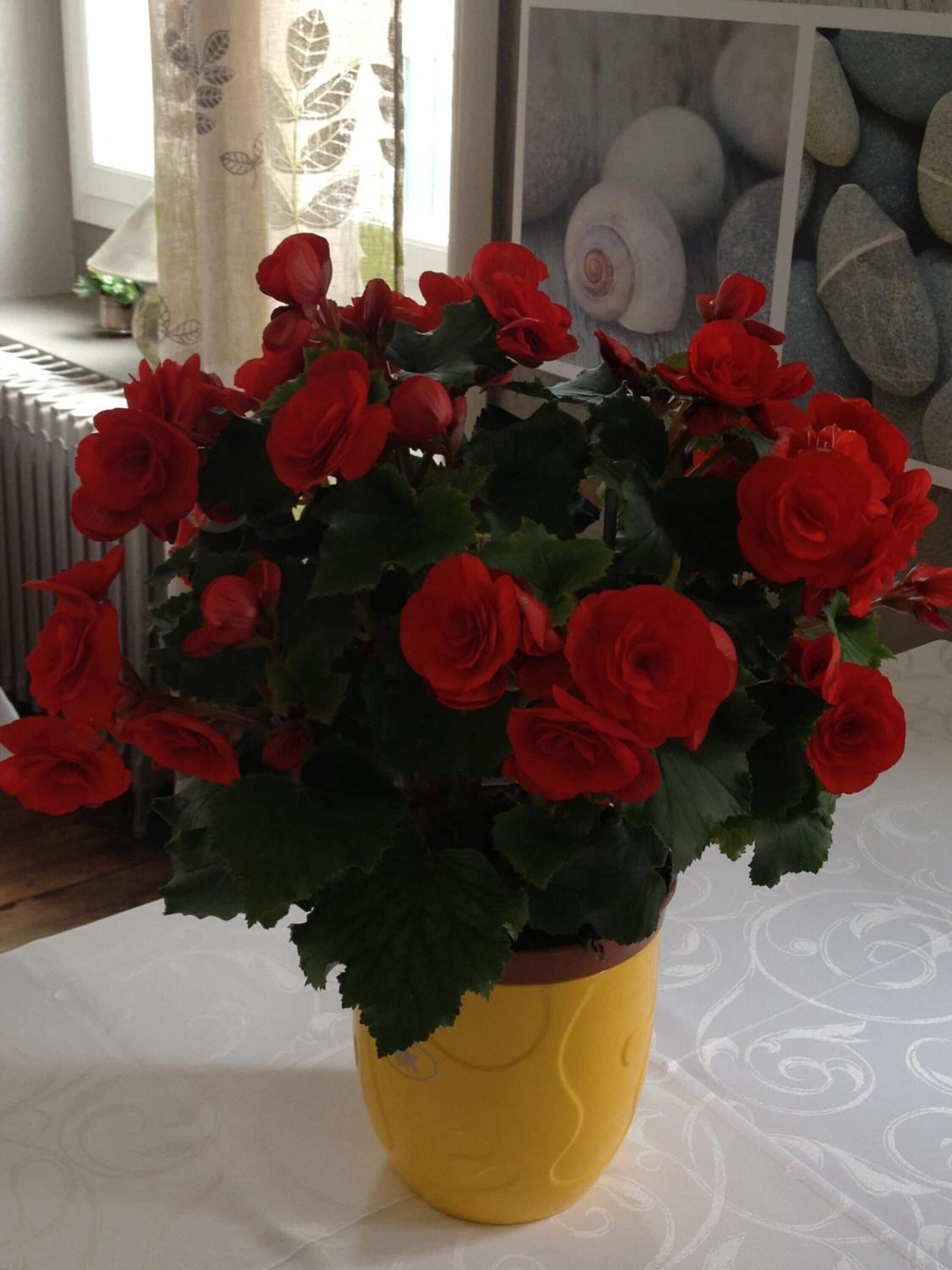 Photo - Hôtel de Nevers