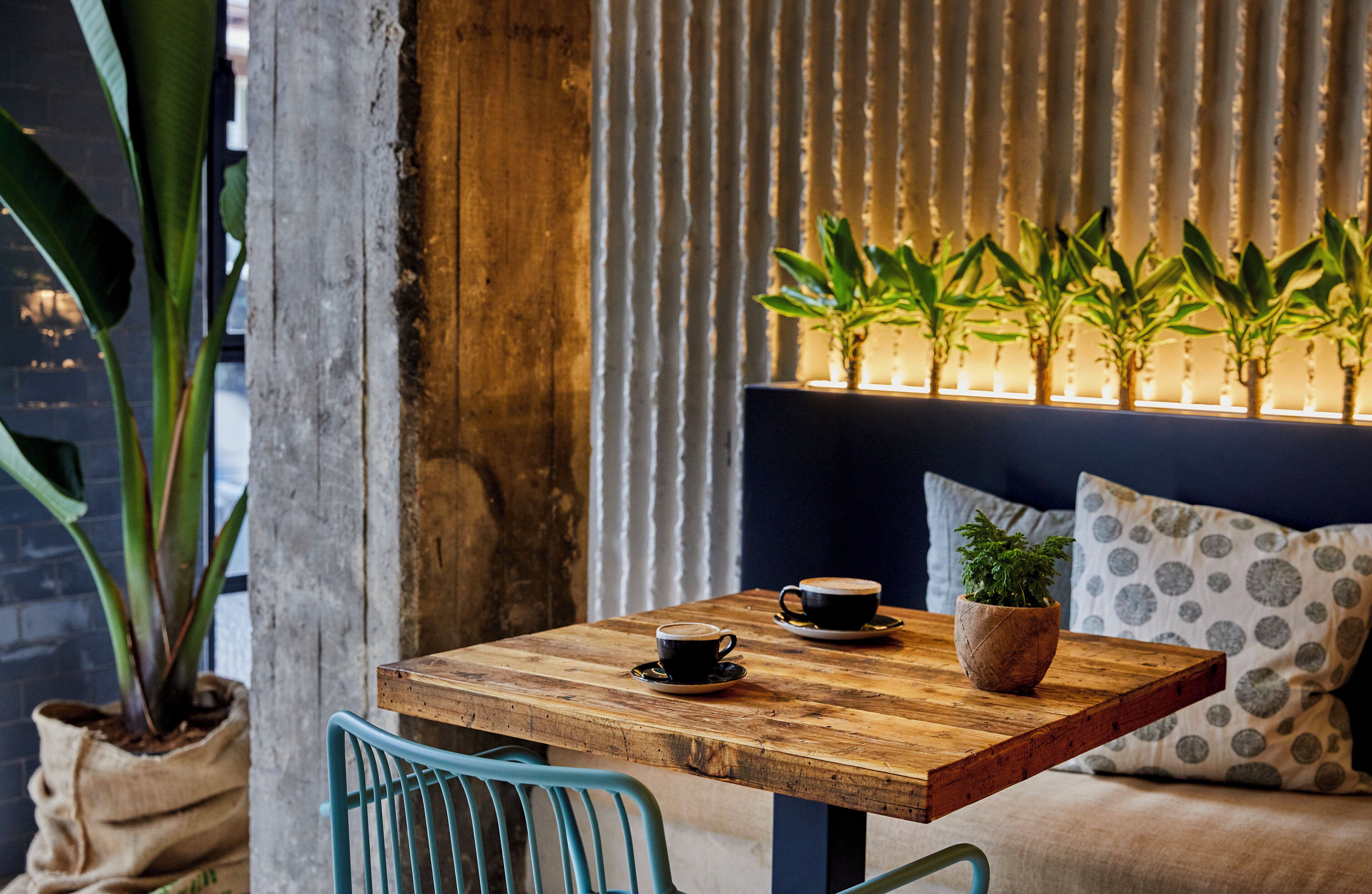 A wooden table with a cup and saucer, a potted plant, and a blue chair in a cozy seating area with a textured wall and a plant shelf.